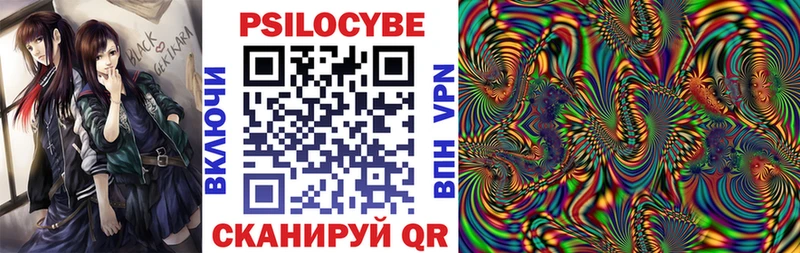 Псилоцибиновые грибы мухоморы купить наркотики сайты Ак-Довурак
